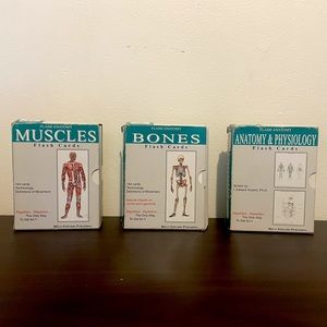 Flash Anatomy Study Card Set